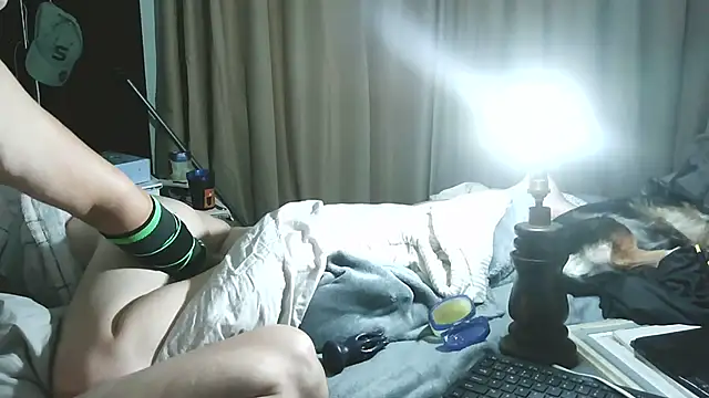 xylegs online show from 21, 6, 2026