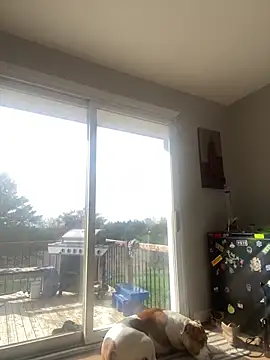 daisydukes666 online show from 18, 4, 2026