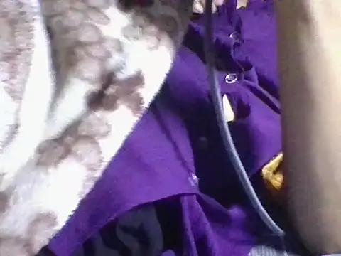 AKANSHA 7 online show from 1, 11, 2025