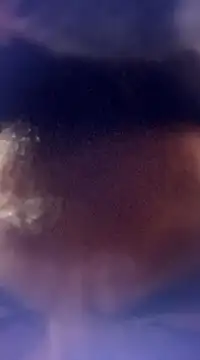 randit7 online show from 24, 1, 2025