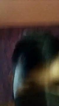 randit7 online show from 27, 1, 2025