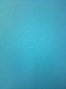 randit7 online show from 26, 2, 2025