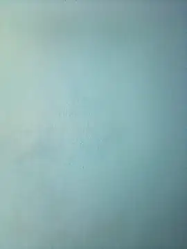 randit7 online show from 12, 3, 2025