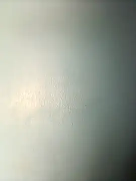 randit7 online show from 14, 3, 2025