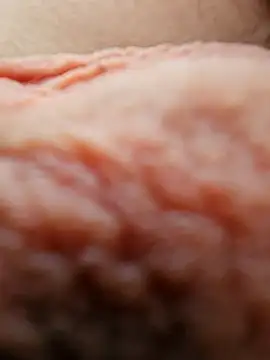 sersaki online show from 11, 1, 2026