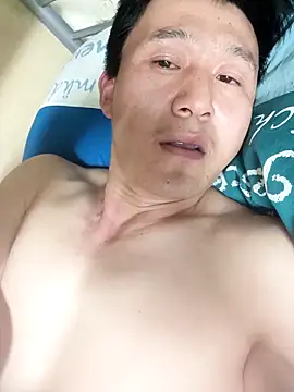 wadmma online show from 28, 3, 2026