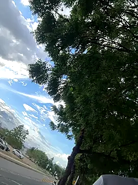 Snapshot of arevalo1124 chatting on 26, 11, 2025 arevalo1124 online show from 26, 11, 2025