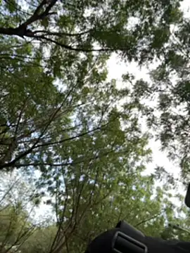 Snapshot of arevalo1124 chatting on 2, 12, 2025 arevalo1124 online show from 2, 12, 2025