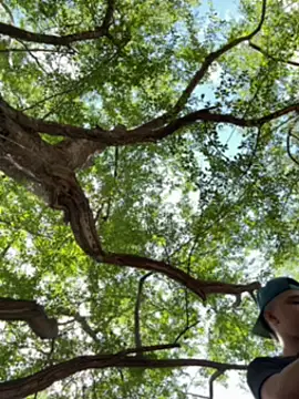 Snapshot of arevalo1124 chatting on 5, 12, 2025 arevalo1124 online show from 5, 12, 2025