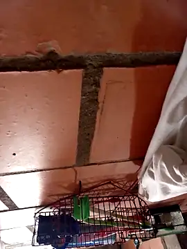 Jean18060 online show from 22, 2, 2026