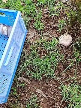 RichardHard 1 online show from 17, 1, 2026