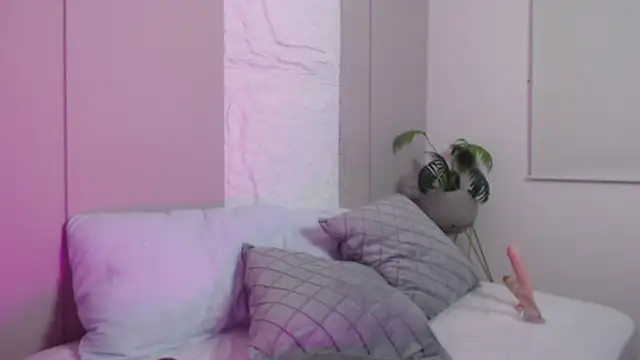 dalila harris online show from 12, 2, 2026