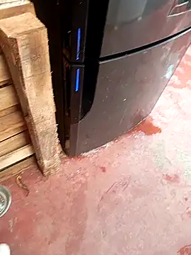 HotC1991 online show from 12, 1, 2026