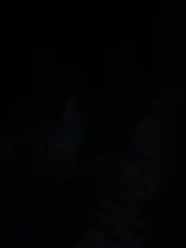 PINO pino 01 online show from 25, 3, 2026