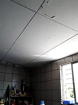 xdandan69 online show from 13, 2, 2025