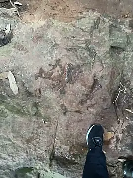 Snapshot of hotgirlpriya789 chatting on 19, 10, 2025 hotgirlpriya789 online show from 19, 10, 2025