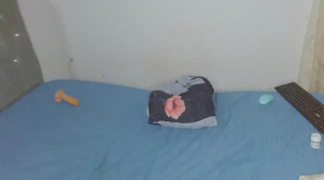 Said hot01 online show from 2, 3, 2025