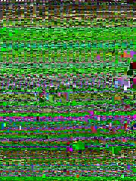 Uncleuncutmushroom online show from 14, 7, 2026