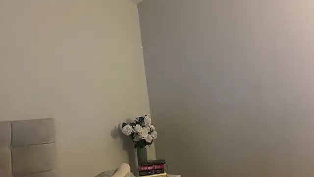 skyejde online show from 18, 11, 2025