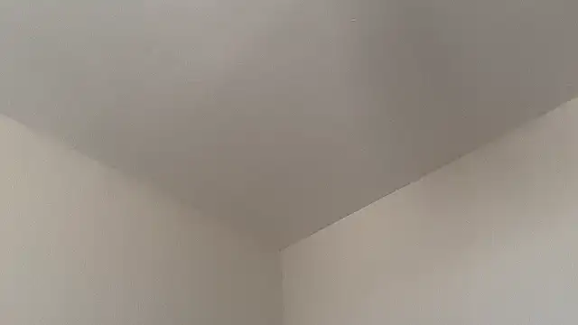 skyejde online show from 14, 2, 2026