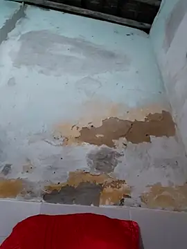 Snapshot of shuelldin chatting on 29, 10, 2025 shuelldin online show from 29, 10, 2025