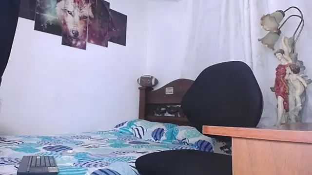 Bull Xvi online show from 27, 11, 2025