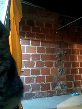 Snapshot of PECHO100 chatting on 3, 3, 2025 PECHO100 online show from 3, 3, 2025