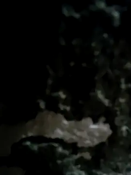 iamriturani online show from 11, 2, 2025