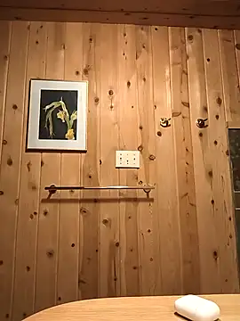 Snapshot of Panda__panda_panda chatting on 20, 3, 2025 Panda  panda panda online show from 20, 3, 2025