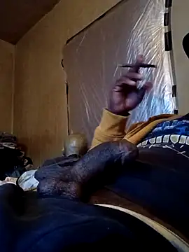 birdg online show from 16, 1, 2026