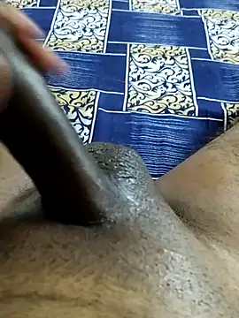 desi pb02 online show from 21, 12, 2025