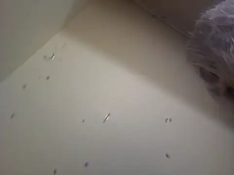 Snapshot of Louna45dv chatting on 18, 2, 2025 Louna45dv online show from 18, 2, 2025