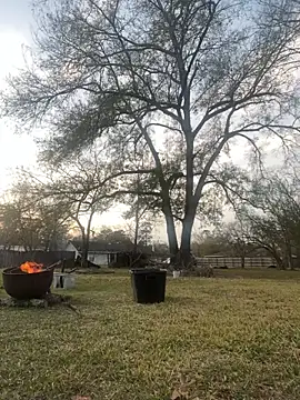 HTXBELLE online show from 5, 1, 2026