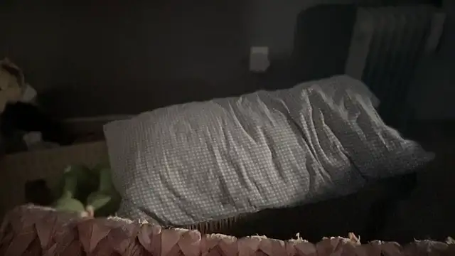 Snapshot of DominantDong chatting on 9, 3, 2025 DominantDong online show from 9, 3, 2025