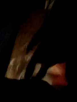 bimexpoexist online show from 12, 1, 2026