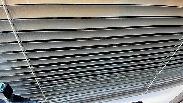 Snapshot of SaraClub_JY chatting on 21, 10, 2025 SaraClub JY online show from 21, 10, 2025