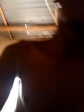 lilpip online show from 15, 2, 2026