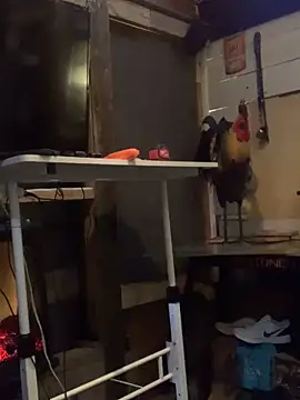 Polaroid White online show from 6, 3, 2025