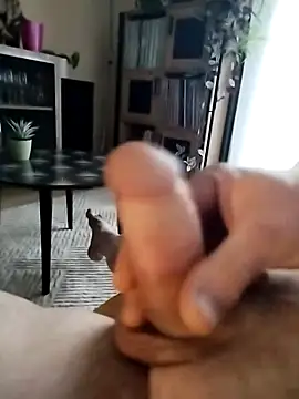 Davestco31 online show from 12, 3, 2025