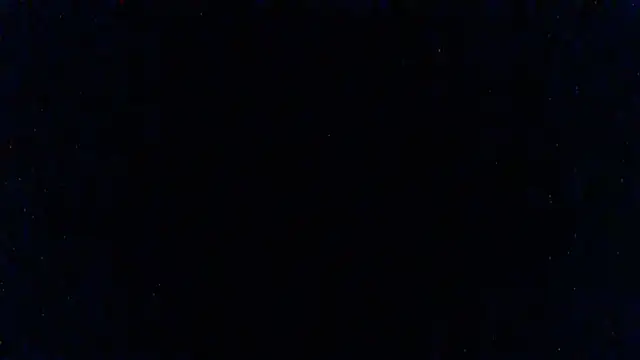 SillyRabbitz online show from 3, 3, 2025