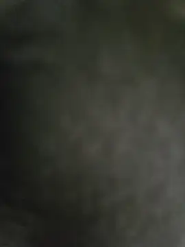 hmlu online show from 26, 2, 2025