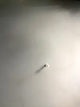 Snapshot of 1Zoey101 chatting on 18, 12, 2025 1Zoey101 online show from 18, 12, 2025