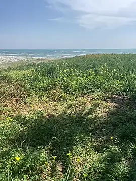 Snapshot of Smallcoco26 chatting on 7, 3, 2025 Smallcoco26 online show from 7, 3, 2025