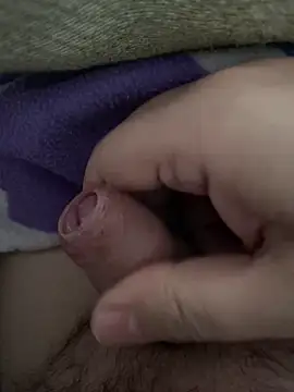 Snapshot of littletoy64 chatting on 7, 2, 2026 littletoy64 online show from 7, 2, 2026