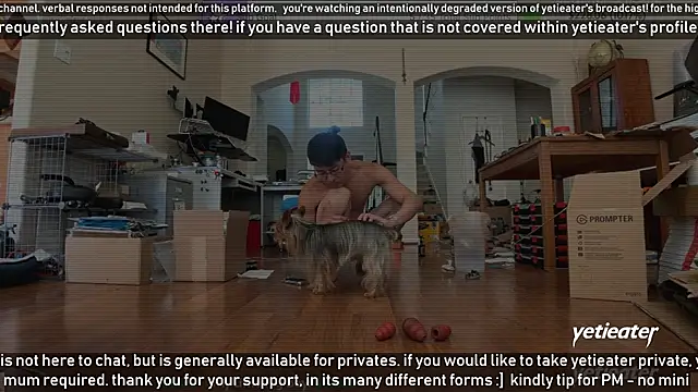 yetieater online show from 16, 3, 2025