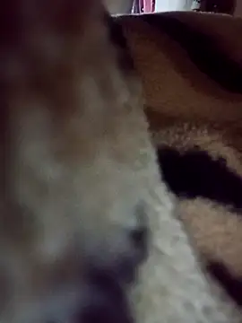 Snapshot of karabokau21 chatting on 26, 9, 2025 karabokau21 online show from 26, 9, 2025