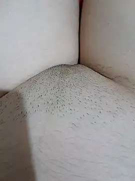 Snapshot of yakot7 chatting on 31, 10, 2025 yakot7 online show from 31, 10, 2025