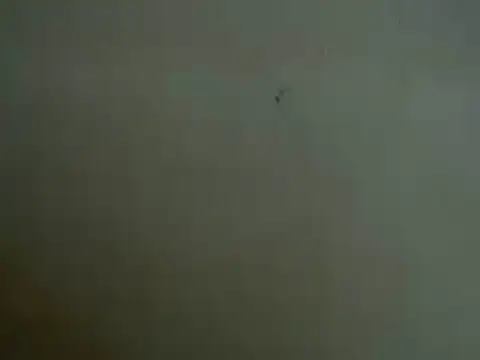 mayra89 online show from 29, 3, 2026
