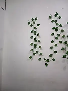 Neha-Bhabhi-Rasily online show from 7, 11, 2025