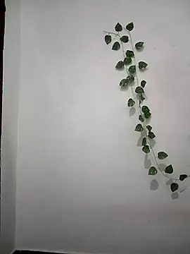 Neha-Bhabhi-Rasily online show from 6, 4, 2026